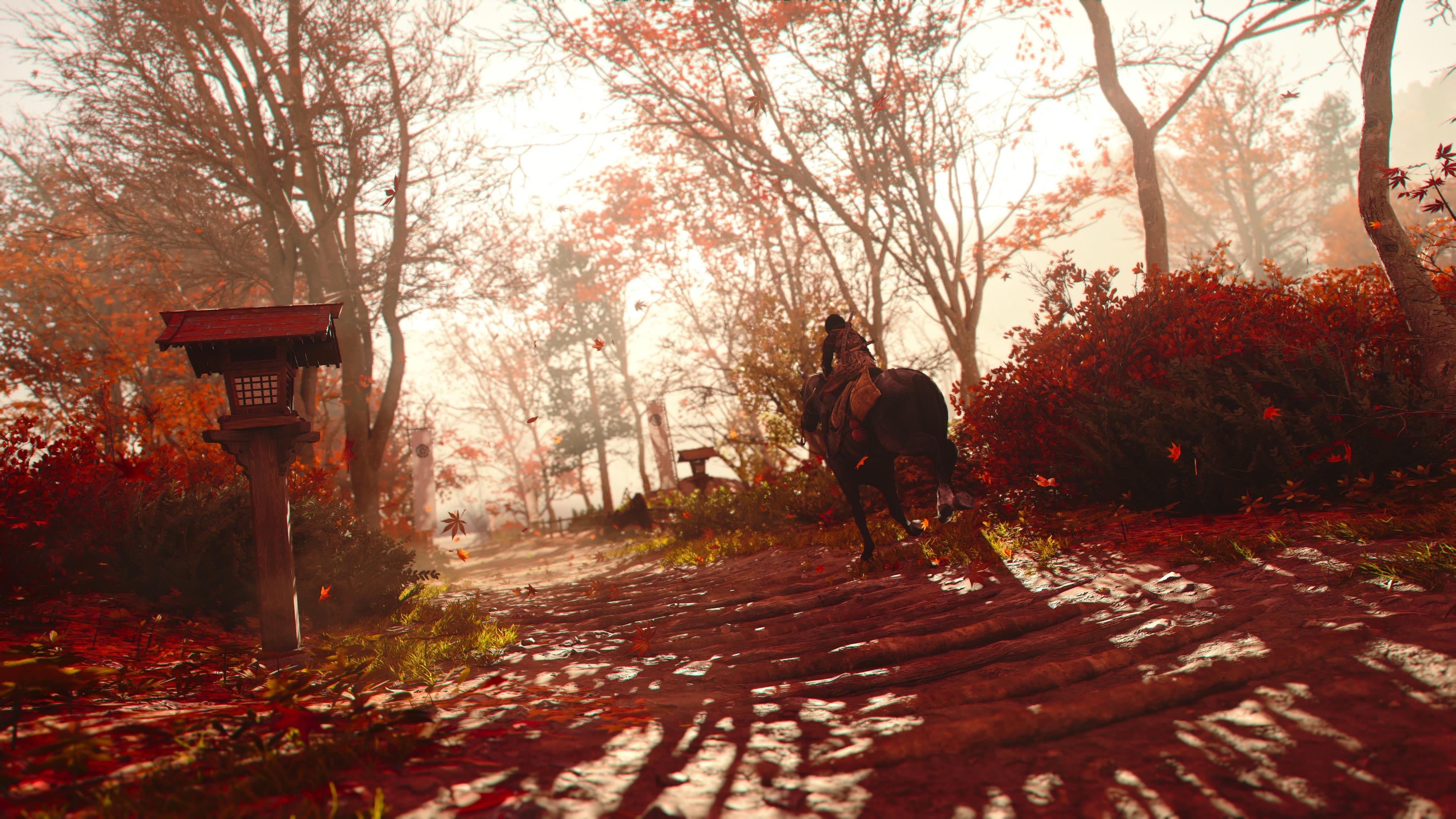 Forest Samurai