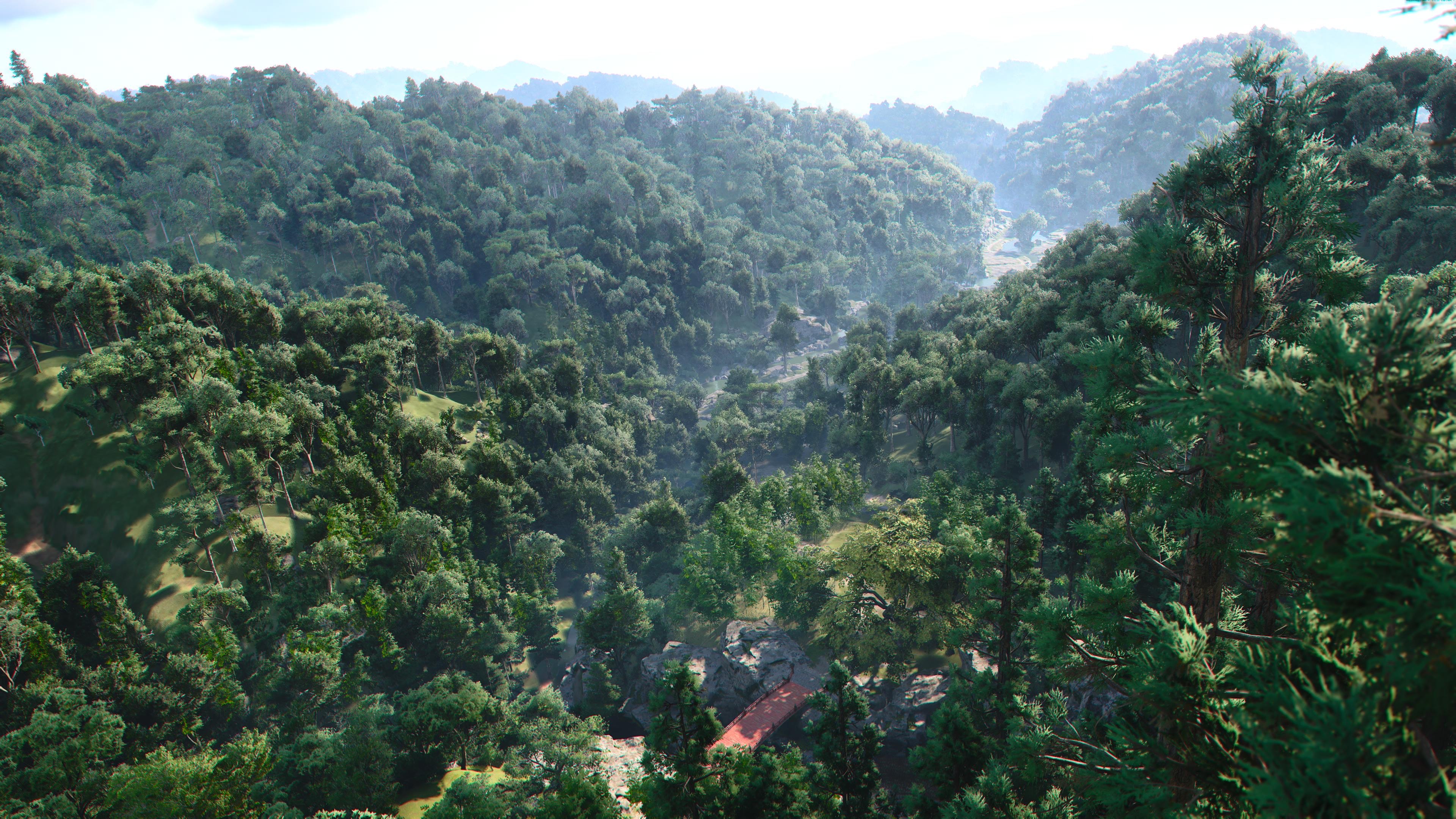 Forest Valley